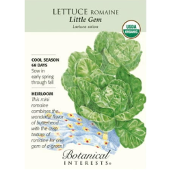 Romaine Lettuce